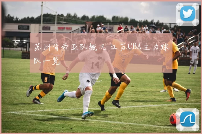 苏州肯帝亚队概况 江苏CBA主力球队一览