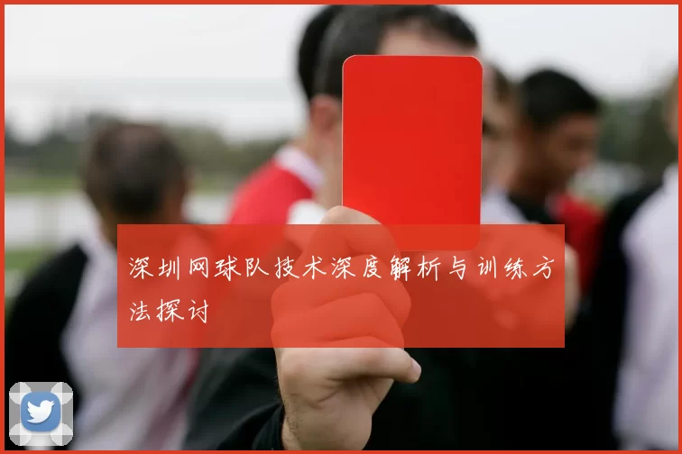 深圳网球队技术深度解析与训练方法探讨