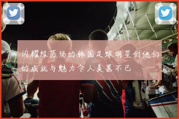 闪耀绿茵场的韩国足球明星们他们的成就与魅力令人羡慕不已