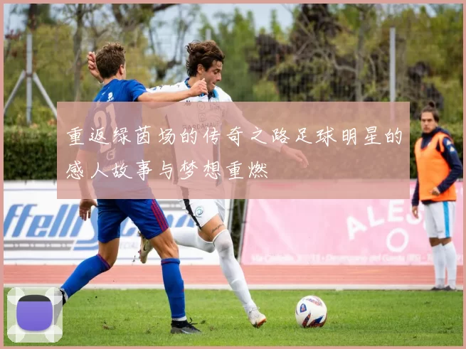 重返绿茵场的传奇之路足球明星的感人故事与梦想重燃