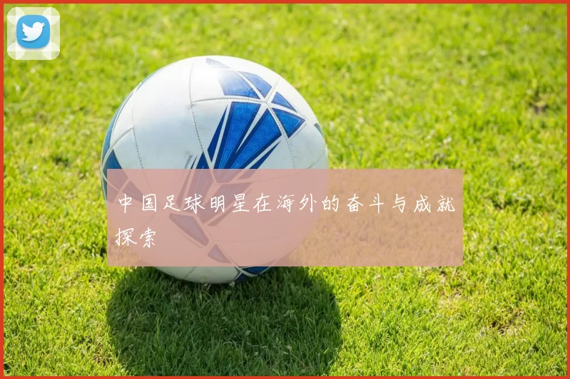 中国足球明星在海外的奋斗与成就探索