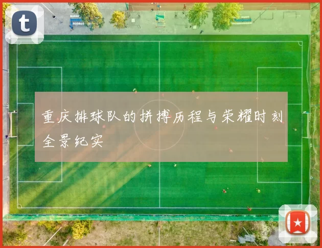 重庆排球队的拼搏历程与荣耀时刻全景纪实