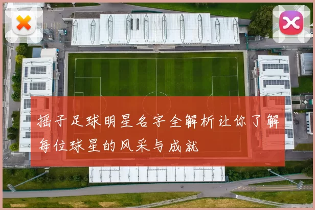 摇子足球明星名字全解析让你了解每位球星的风采与成就