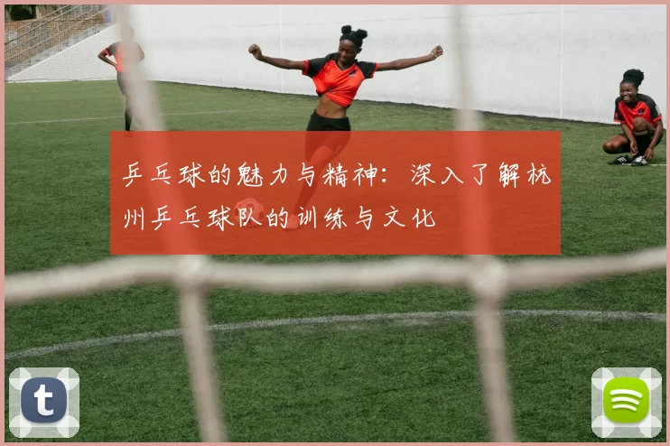 乒乓球的魅力与精神：深入了解杭州乒乓球队的训练与文化