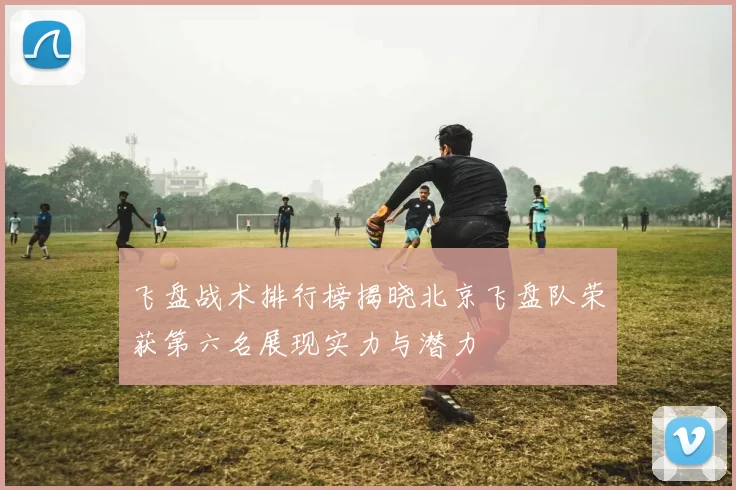 飞盘战术排行榜揭晓北京飞盘队荣获第六名展现实力与潜力