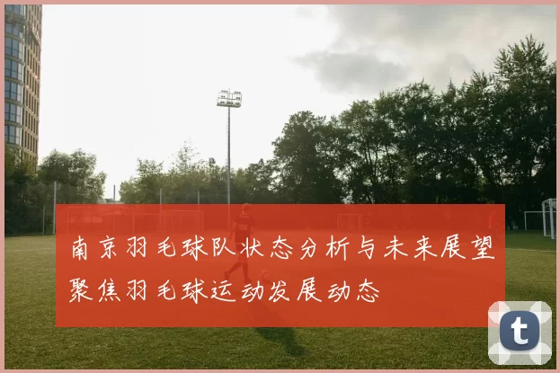 南京羽毛球队状态分析与未来展望聚焦羽毛球运动发展动态