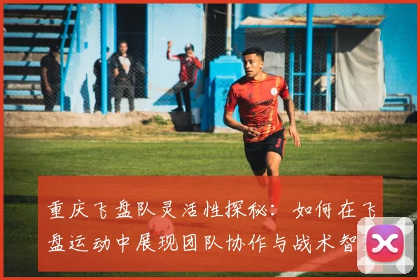 重庆飞盘队灵活性探秘：如何在飞盘运动中展现团队协作与战术智慧