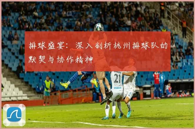 排球盛宴：深入剖析杭州排球队的默契与协作精神
