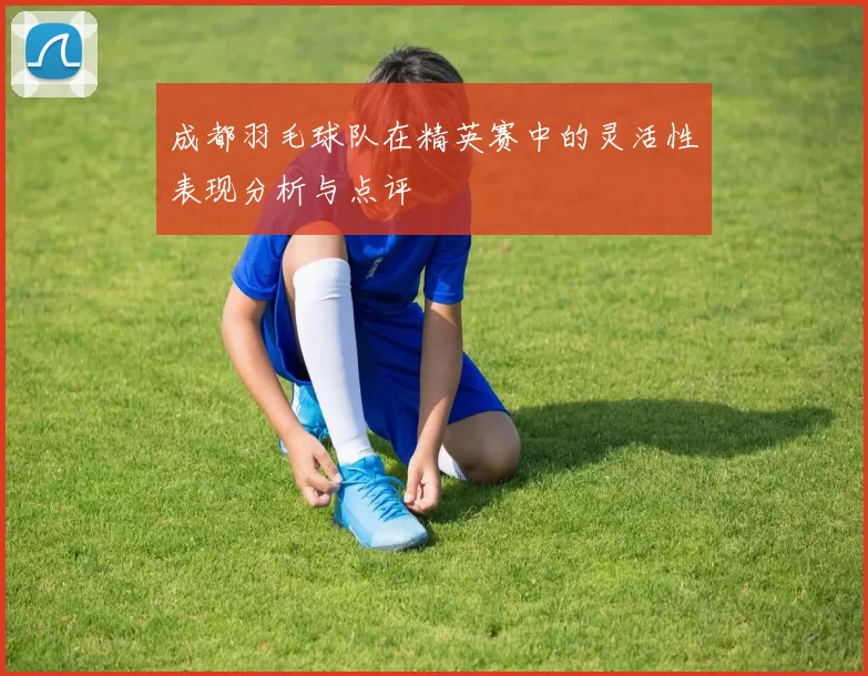 成都羽毛球队在精英赛中的灵活性表现分析与点评