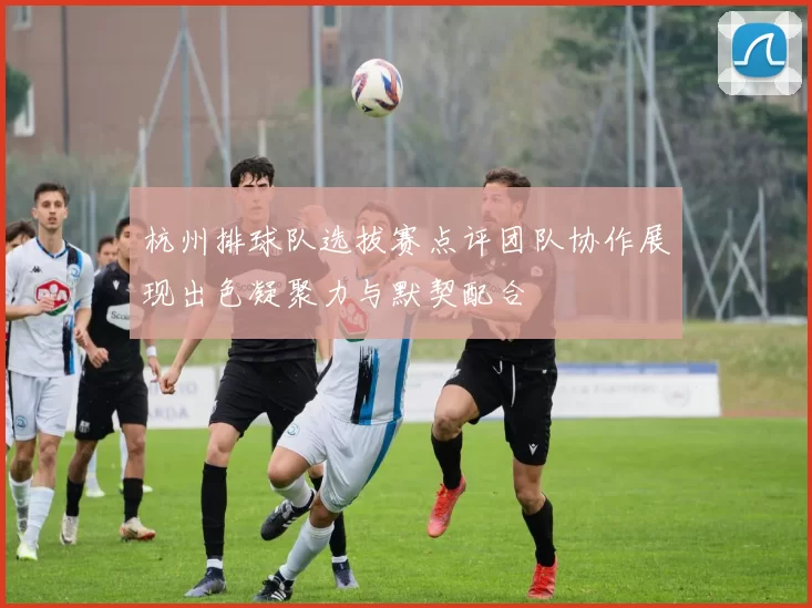 杭州排球队选拔赛点评团队协作展现出色凝聚力与默契配合