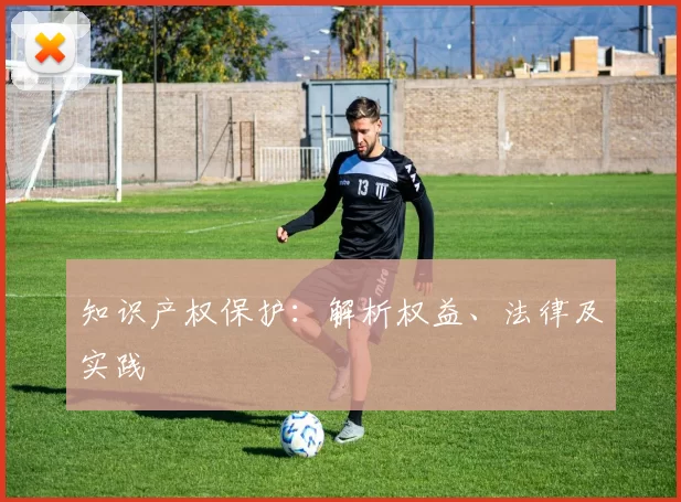 知识产权保护：解析权益、法律及实践