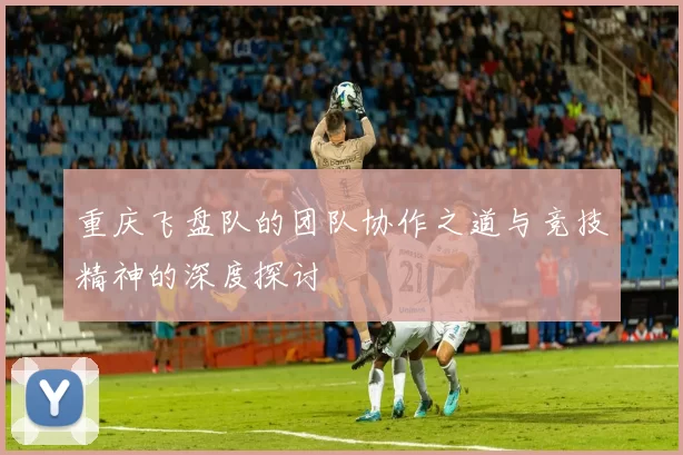 重庆飞盘队的团队协作之道与竞技精神的深度探讨