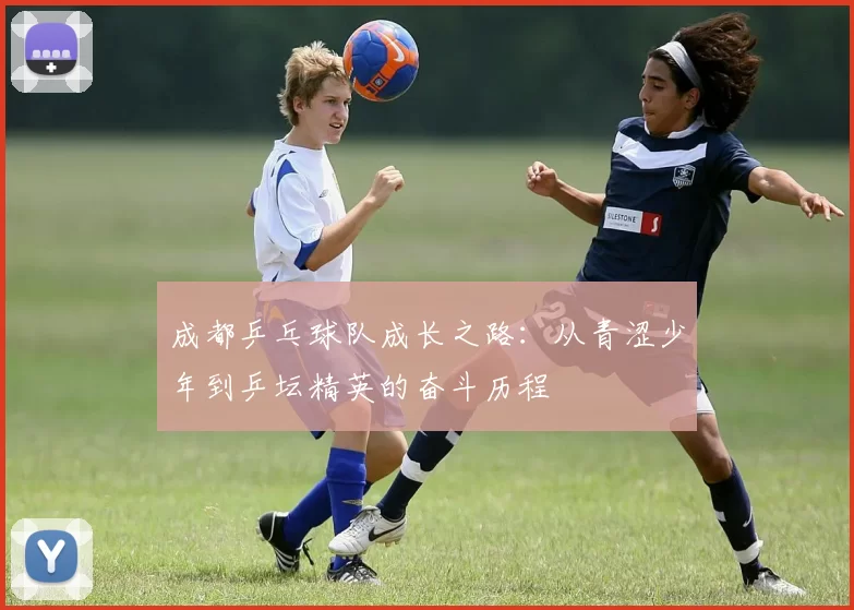 成都乒乓球队成长之路：从青涩少年到乒坛精英的奋斗历程