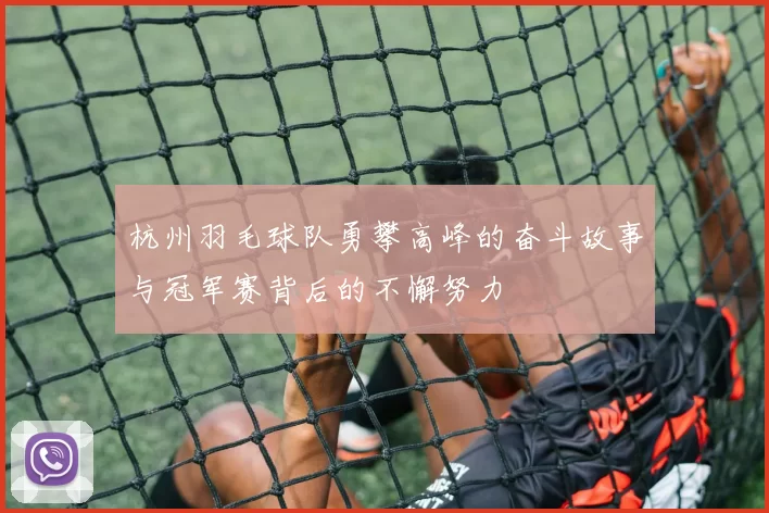 杭州羽毛球队勇攀高峰的奋斗故事与冠军赛背后的不懈努力