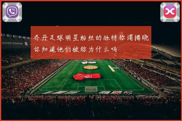 乔丹足球明星粉丝的独特称谓揭晓你知道他们被称为什么吗