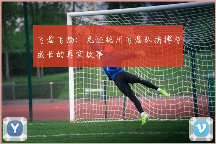 飞盘飞扬：见证杭州飞盘队拼搏与成长的真实故事
