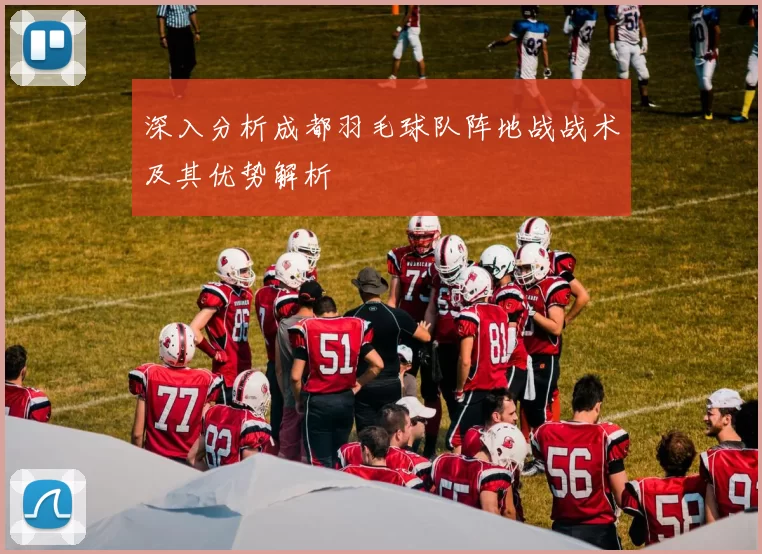 深入分析成都羽毛球队阵地战战术及其优势解析