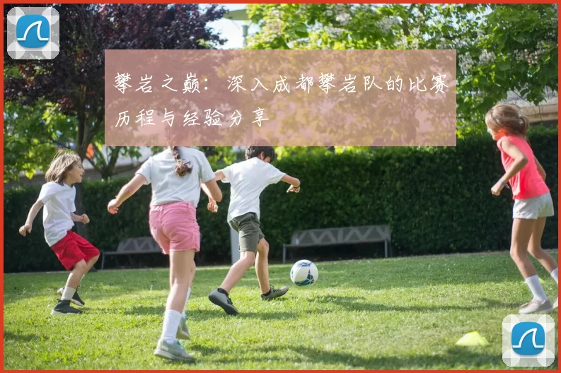 攀岩之巅：深入成都攀岩队的比赛历程与经验分享