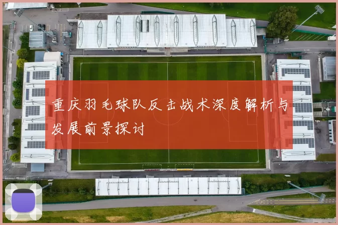 重庆羽毛球队反击战术深度解析与发展前景探讨