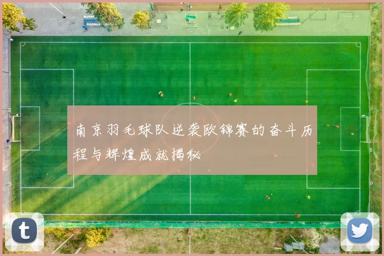 南京羽毛球队逆袭欧锦赛的奋斗历程与辉煌成就揭秘