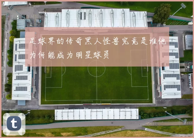 足球界的传奇黑人怪兽究竟是谁他为何能成为明星球员