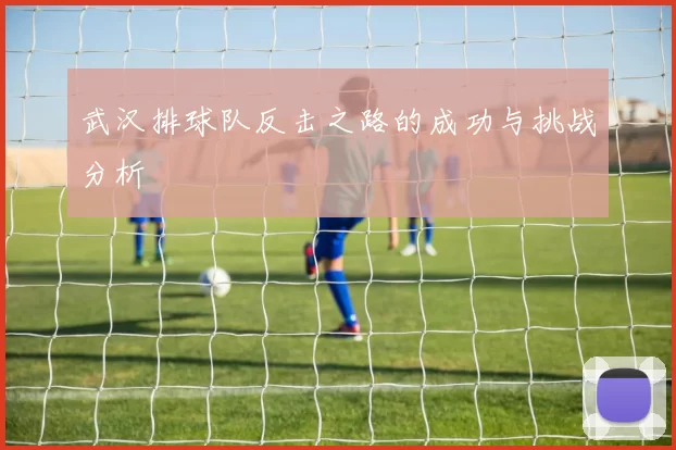 武汉排球队反击之路的成功与挑战分析