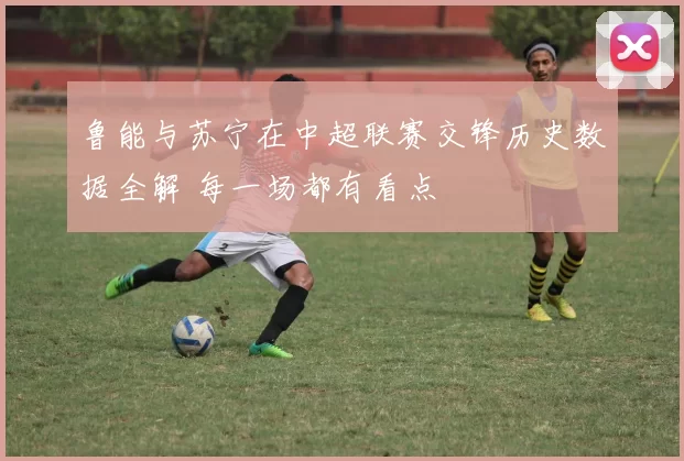 鲁能与苏宁在中超联赛交锋历史数据全解 每一场都有看点