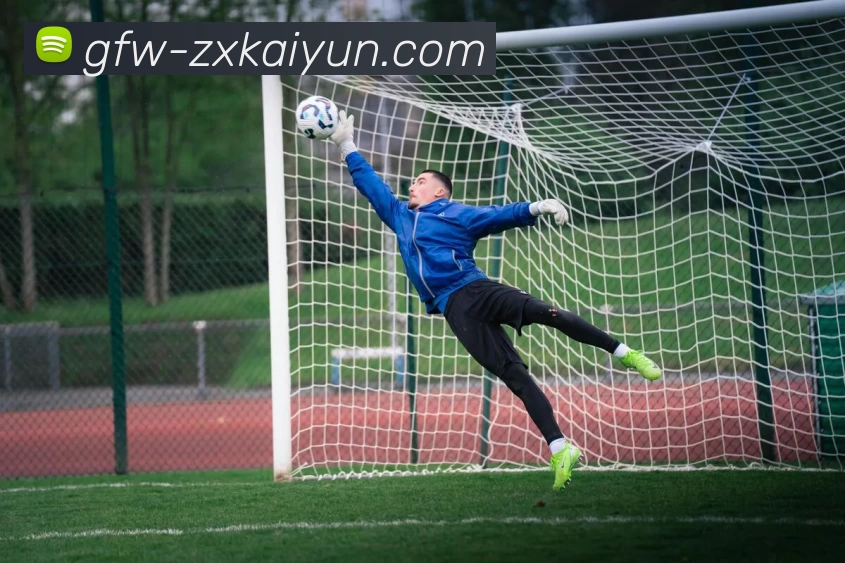 开云APP 高清赛事图